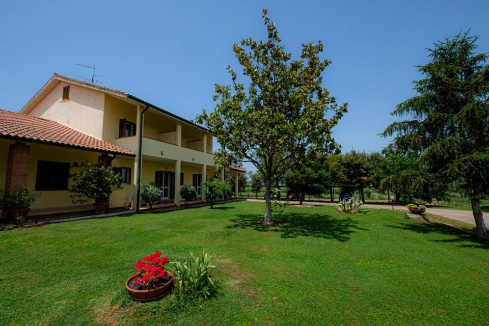 Agriturismo La Fata 그레세토 외부 사진