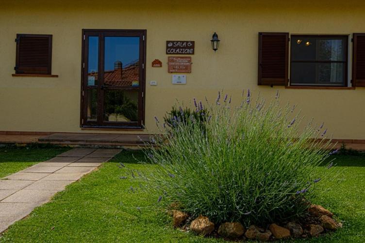 Agriturismo La Fata 그레세토 외부 사진