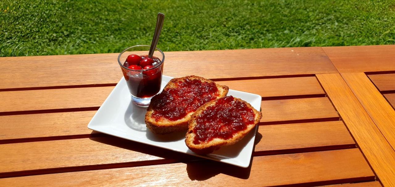 Agriturismo La Fata 그레세토 외부 사진